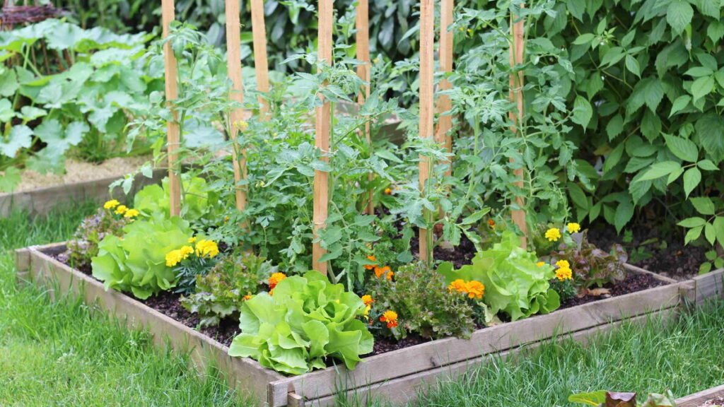 Small Space Vegetable Garden: How to Start Yours Today